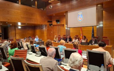 Comparecemos en el Senado para reclamar más inversión en familia y ayudas directas y reales que tengan en cuenta a todos los hijos