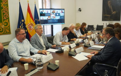 Pedimos a los ayuntamientos más apoyo a las familias numerosas, con bonificaciones y no penalización por hijos en tasas y servicios