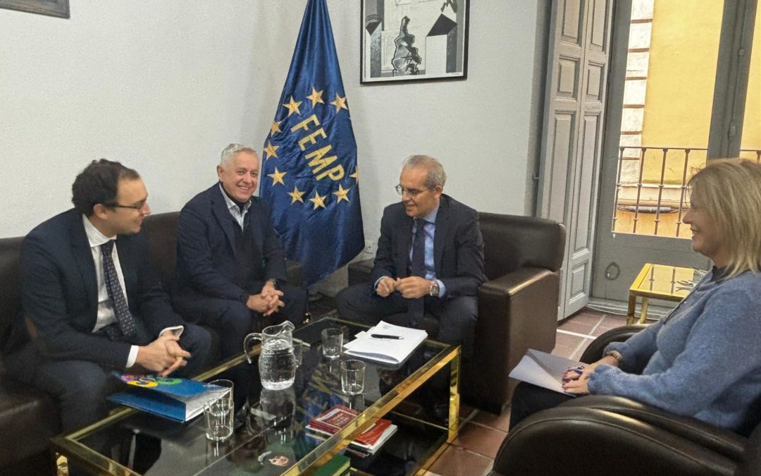 Nos reunimos con la FEMP para pedirle apoyo a las familias numerosas en la aplicación de la Ley de Movilidad Sostenible